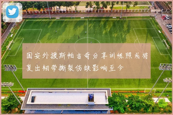国安外援斯帕吉奇分享训练照或将复出韧带撕裂伤缺影响至今