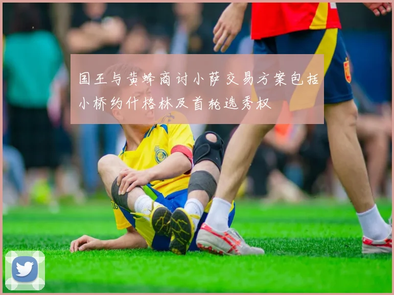 国王与黄蜂商讨小萨交易方案包括小桥约什格林及首轮选秀权