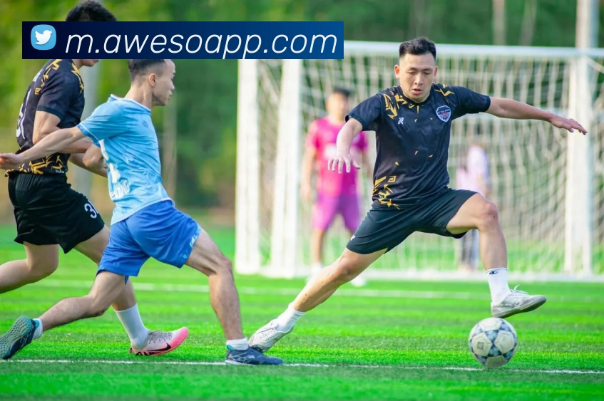 易游体育官网全站App